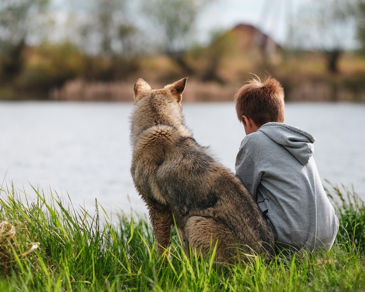 dog, pet, boy, animal, human, nature, summer, grass